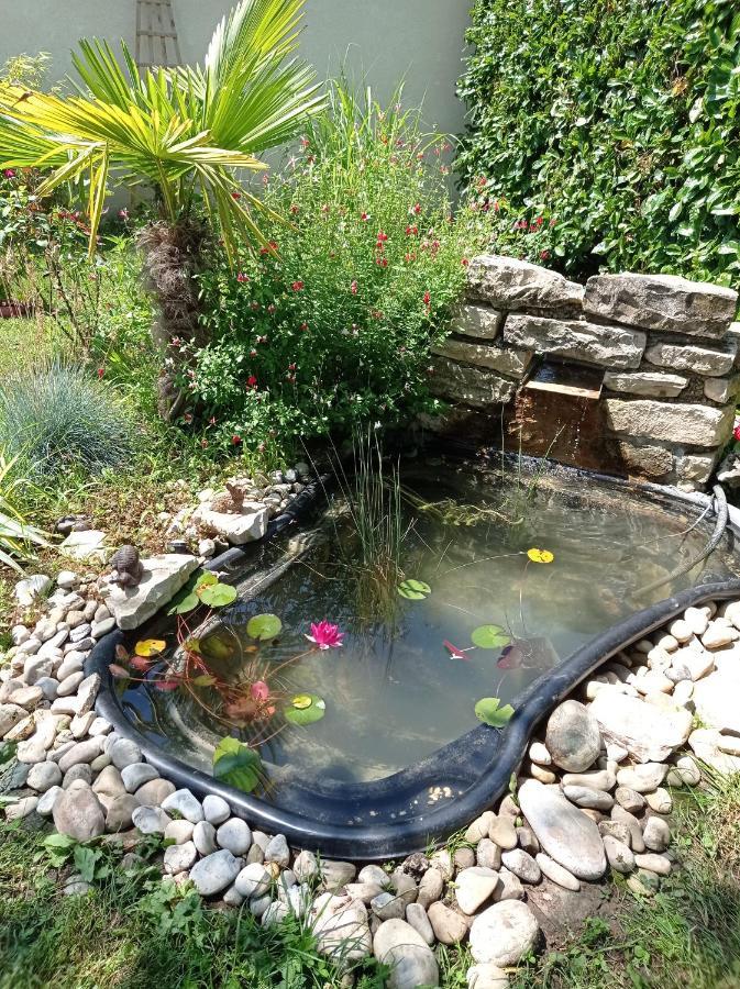 Gîte L'Albizia 3 épis Saint-Maurice-en-Riviere Esterno foto