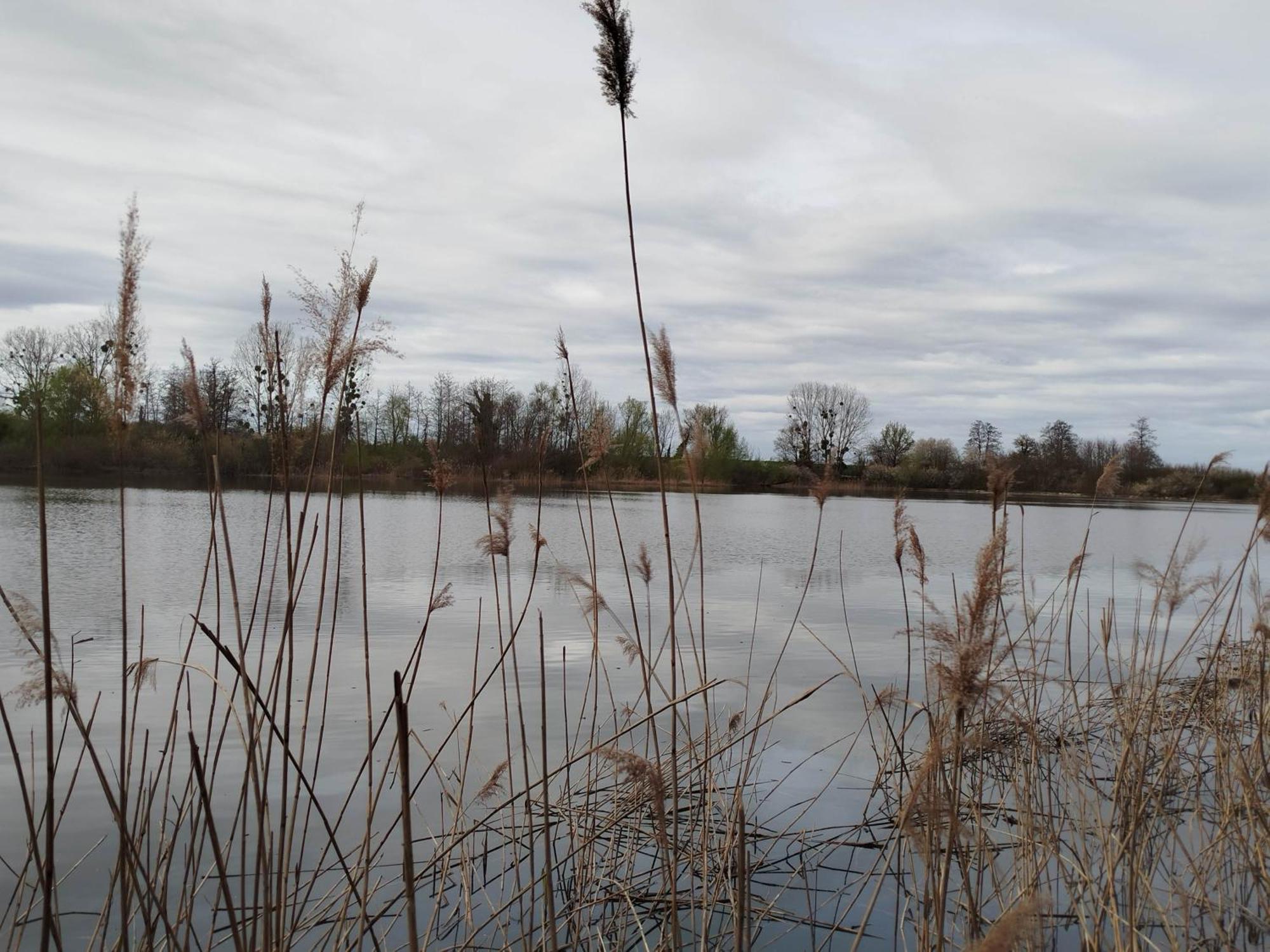 Gîte L'Albizia 3 épis Saint-Maurice-en-Riviere Esterno foto